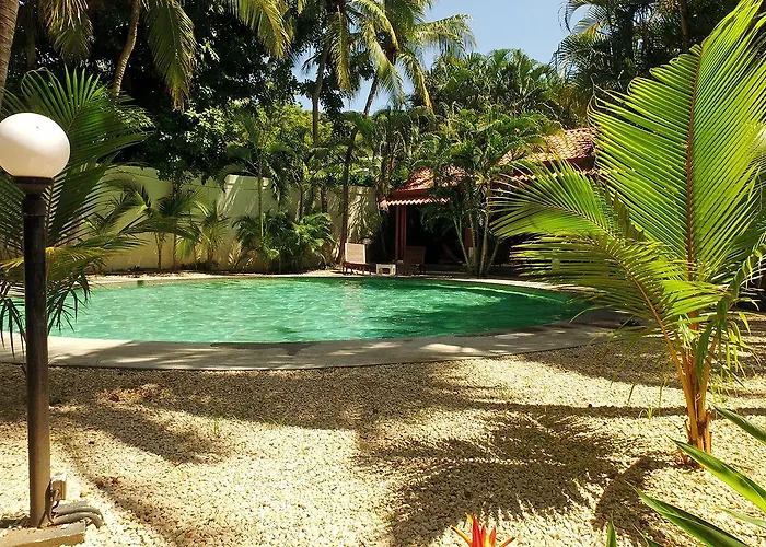 Café De Playa Front Coco