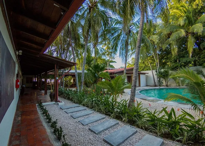 Café De Playa Front Coco